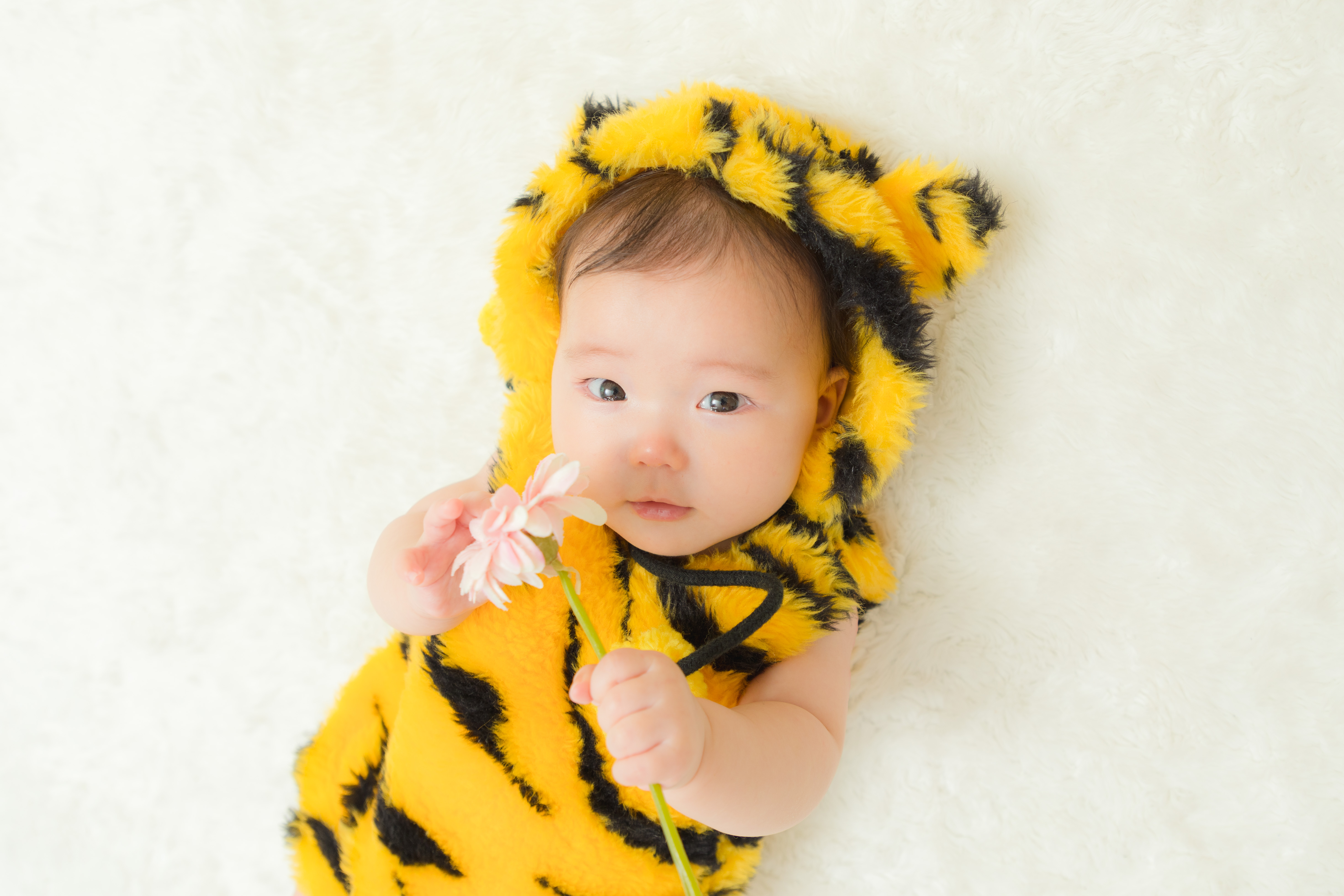 ハーフバースデー