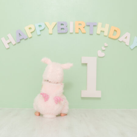 1歳バースデー
